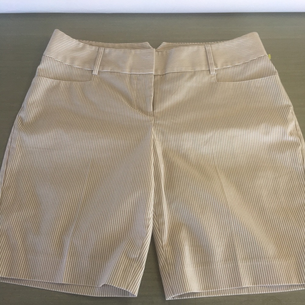 0068 Express Design Studio Pin Striped Shorts